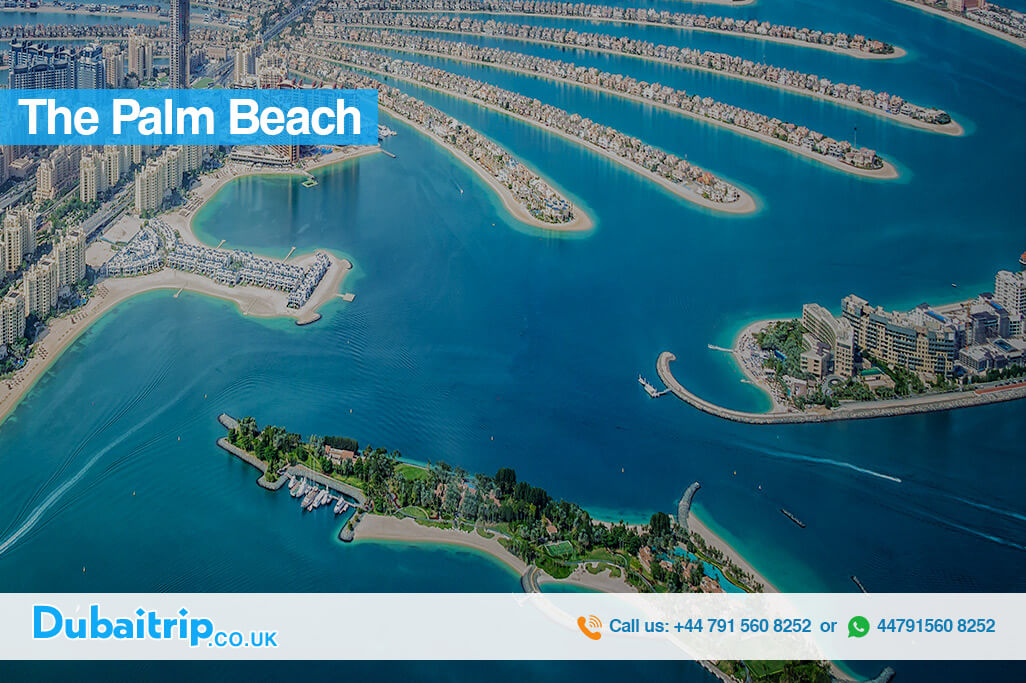 The-Palm-Beach