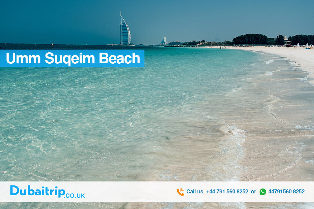 Umm-Suqeim-Beach